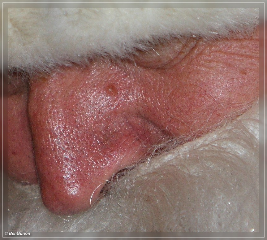 Forum_IMG_5474_Crop.jpg