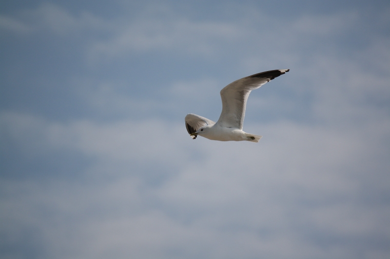 IMG_4417.jpg