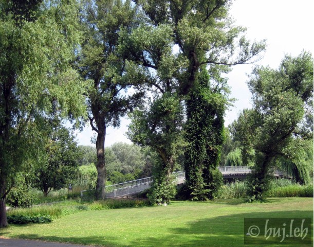 Donaupark.jpg