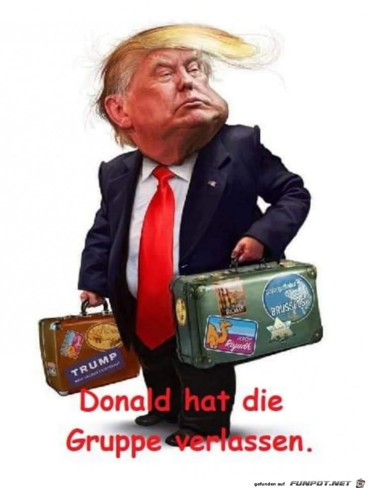 donald leaves.jpg